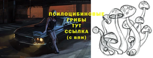 таблы Армянск