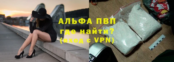 индика Аркадак