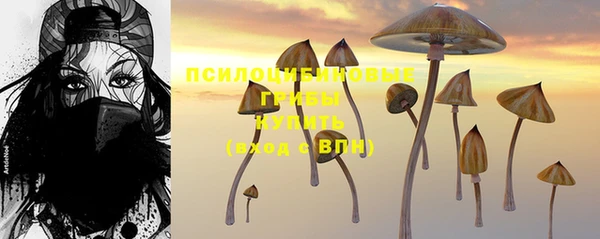 шишки Нефтекумск