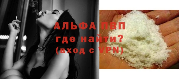 индика Аркадак