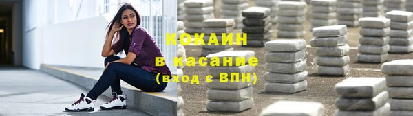 индика Аркадак