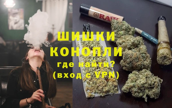 индика Аркадак