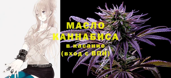 индика Аркадак