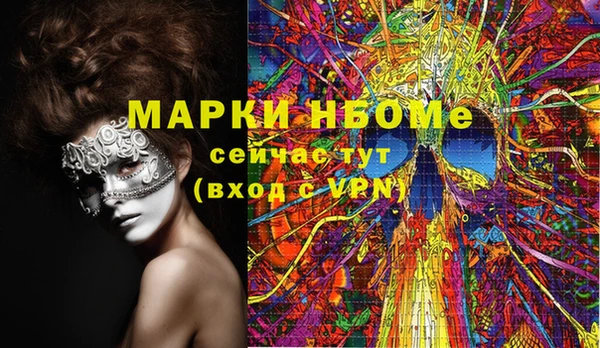 индика Аркадак